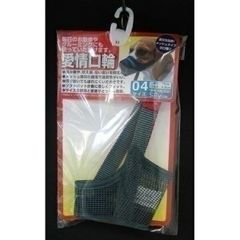 Item thumbnail for item ba96e50f-4aa4-4877-9e2d-b03258db5a4b