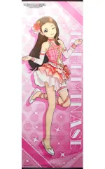 【中古】タペストリー 水瀬伊織(ラッピングマイハート) 特大タペストリー 「PS4ソフト アイドルマスター プラチナスターズ 限定版プラチナBOX」 WonderGOO購入特典