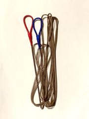 カレーラ弦2本セット品