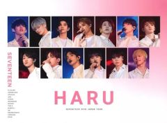seventeen dvdセット おまけ付き - メルカリ