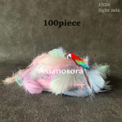 ◾️⭐︎【FS26 L.mix】羽  フラワーシャワー コキール 花吹雪 鳥の羽根