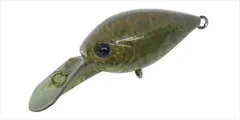 ディスプラウト　ピコ・チャタクラＭＤ?ＳＳ　ＴＯ?０２　ＴＨＥ?０オリのサムネイル