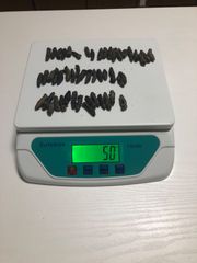工場直売　関西産A級品 乾燥なまこ　超ミニサイズ 50g50匹 (計量時50g50本)