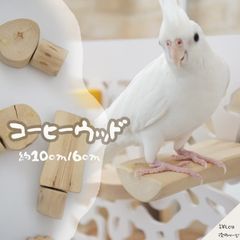 【複数割あり】インコ とまり木 インコ 天然木 止まり木 小型インコ ステップ 鳥用止まり木 爪とぎ パーチ 階段 遊び場 セキセイインコ ボタンインコ オカメインコ マメルリハ 文鳥 コザクラインコ 老鳥 かじり木 コーヒーウッド ステップ