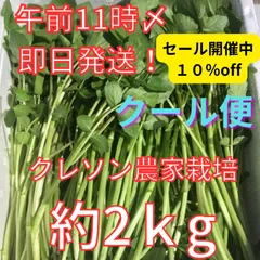 2025年最新】クレソンの人気アイテム - メルカリ