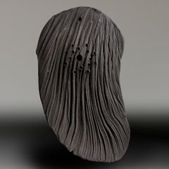 ビカクシダ　着生版　陶器製（黒）
