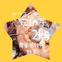 【2021秋】ねっとり甘い安納芋 2kg さつまいも【無農薬野菜】