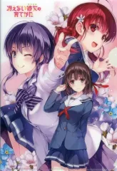 2025年最新】冴えない彼女の育てかた 付録の人気アイテム - メルカリ