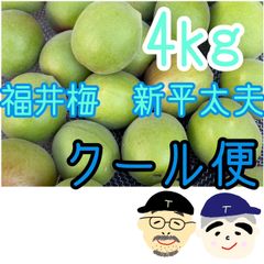 【24時間以内発送】高知県産 無農薬 南高梅 約4kg超3~4Lサイズ クール便 24時間以内発送】高知県産 無農薬 南高梅 約4kg超3~4Lサイズ クール便