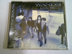 WANDS/Little Bit・・・