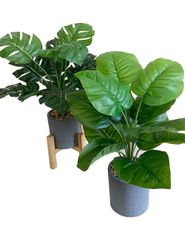 Kugusa 【生花店監修】 フェイクグリーン 人工観葉植物 モンステラ 鉢植え 造花 インテリア 2点セット 花台付き (モンステラとウンベラータ)