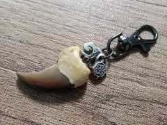 【熊の爪】【お値下げ中】ヒグマの爪キーホルダー 天然物　一品限り　魔除け m82511147530_1.jpg?1714846102
