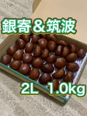 2025年最新】筑波栗の人気アイテム - メルカリ