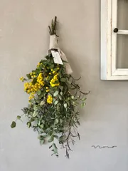Spring 春風そよぐ ミモザとユーカリのスワッグ 38〜48cm snportal.si