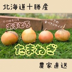 🧅北海道産玉ねぎ🧅小玉サイズ　80サイズ箱　約7キロ程度