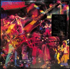 I003【米盤/未開封12インチ/ハイプステッカー付き】Magnum Hot Nights