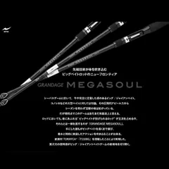 アピア GRANDAGE MEGASOUL C63H+ 大型便Bのサムネイル