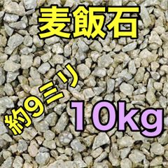 溶岩石プレート10×10cm 4枚 隠れ家 バスキング 陸地 - メルカリ