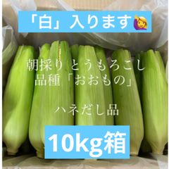 ハネ出し品「白・黄」とうもろこし 10kg箱 クール便 - メルカリ