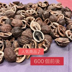 Item thumbnail for item 18907b84-d822-4bb0-adb9-34294ed799f6