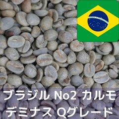 コーヒー生豆 ブラジルNo2 S17/18 カルモデミナス Qグレード 1kg