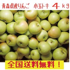 青森県産　りんご　トキ　ご家庭用　小玉　18-25玉程度　４ｋｇ