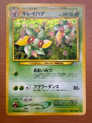 キレイハナ ○ 旧裏面 ポケモンカード - メルカリ