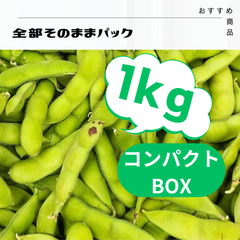 【雪音】茶豆系枝豆全部もぎ☆お得な1キロA品多め　9/20収穫出荷　大川ファーム