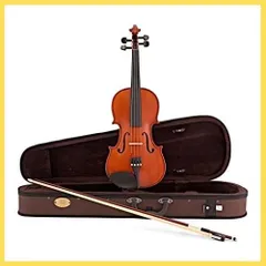 2024年最新】バイオリン stentorの人気アイテム - メルカリ
