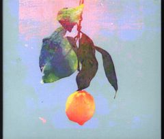 アーティストCD 米津玄師 Lemon 映像盤