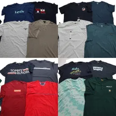 古着卸 まとめ売り ブランドMIX 半袖Tシャツ 16枚セット (メンズ 2XL /3XL ) リーバイス ノーティカ  ディッキーズ 古着 NB3730
