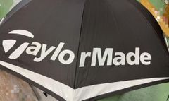 Item thumbnail for item df217778-5446-4b80-a736-e8619a032f66