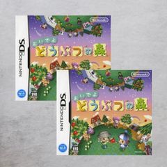 【状態B】DS おいでよ どうぶつの森 2点 セット売り