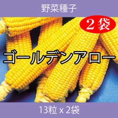 野菜種子 EBA ゴールデンアロー 13粒 x 2袋