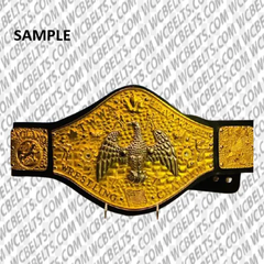 TWWA カナダヘビー級タイトル チャンピオンベルト カルミコフィヴァン ニキータ トロント オーダーメイド【発送予定日:12月13日】