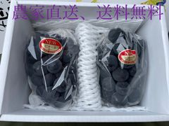 初物ハウス栽培種無しピオーネ‼️お中元に‼️鮮度抜群❗️(約1kg)岡山県産　朝獲れ　種無しピオーネ（ハウス栽培）　2房