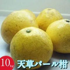 天草パール柑（土佐文旦）10kg箱入り　農薬一切不使用栽培
