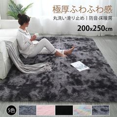 新品 カーペット極厚ふわふわラグマット ラグ200x250cm - メルカリ