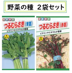 2025年最新】ツルムラサキ 苗の人気アイテム - メルカリ
