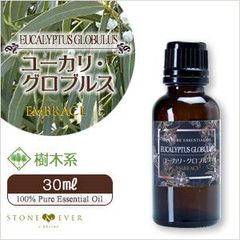 ゴールデンバレルカクタス サボテン PHIコルテフラワーエッセンス