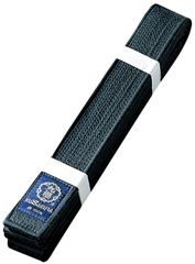 Item thumbnail for item e7ba2d0f-cc6d-43a0-b6fe-43dc6ec4f3c5