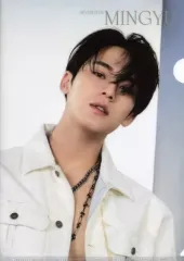 【中古】クリアファイル ミンギュ A4クリアファイル 「フラットガシャポン SVTクリアファイルコレクション ～Face the Sun～ From PLEDIS ENTERTAINMENT SEVENTEEN」
