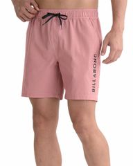 2025春夏 新品【BILLABONG/ビラボン】ALLDAY PIGMENT LAYBACKS ボードショーツ DRO メンズ BF01A500