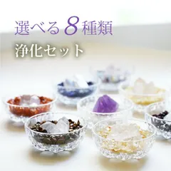 天然石 パワーストーン 浄化 セット 8種 空間浄化 ブレスレット 数珠 石 原石 さざれ石 水晶 水晶浄化 ゼロ浄化 チャージ浄化 開運 占い 運気 置物 部屋 インテリア 恋愛運 金運 仕事運 人間関係改善 厄除け 学業運 所願成就 マイナスエネルギー