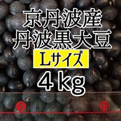丹波黒大豆 4kg Lサイズ 京丹波産 令和6年産 新豆