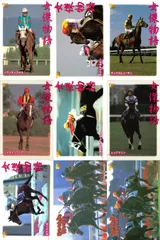 ux234 カード まとめ 競馬 サラブレッドカード 馬 イクノディクタス ダイイチルビー マックスビューティ シャダイソフィア ハギノトップレディ ヒシアマゾン ホクトベガ ヤマニントランザム キュンティア