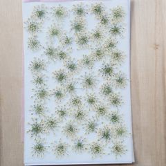 Item thumbnail for item 5e07c3cd-e569-4824-b29c-e343b95f15f4