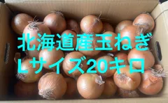 メル様専用　北海道産玉ねぎ　Lサイズ　20キロ