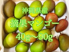沖縄県産　摘果マンゴー　1キロ