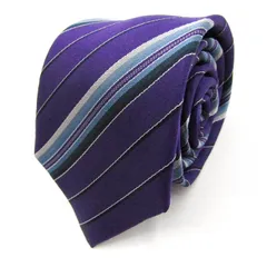 レミュー ブランド ネクタイ シルク ストライプ柄 メンズ パープル LES MUES  【中古】